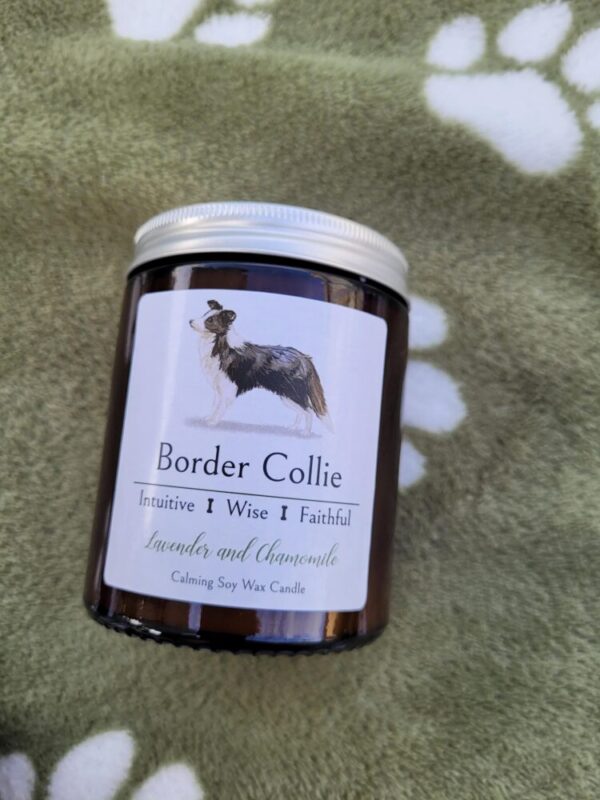 Border Collie Candle