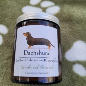 Dachshund candle