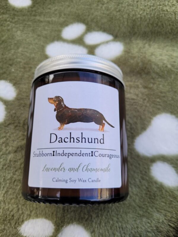 Dachshund candle