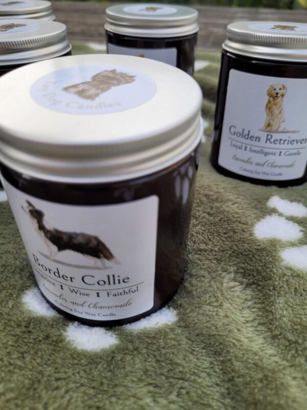 Border Collie candle - Image 6