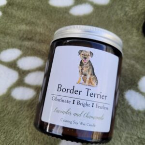 Border Terrier candle
