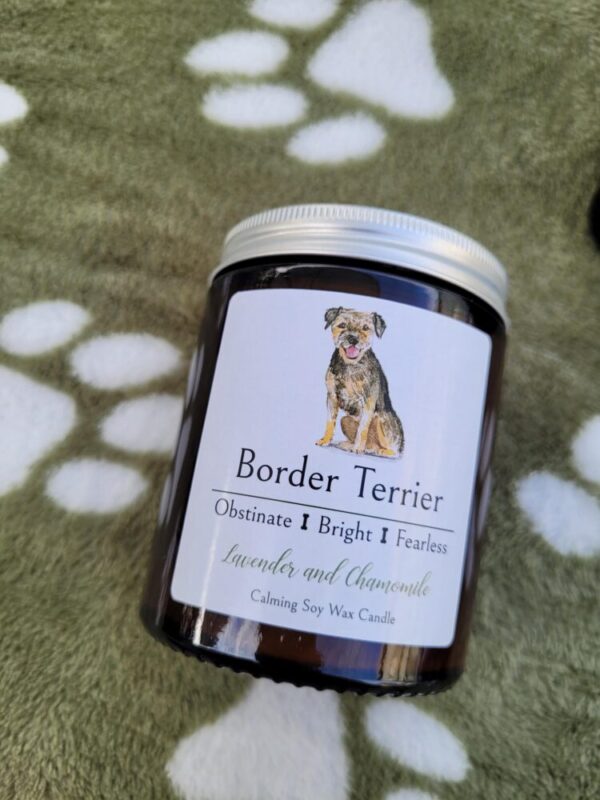 Border Terrier candle