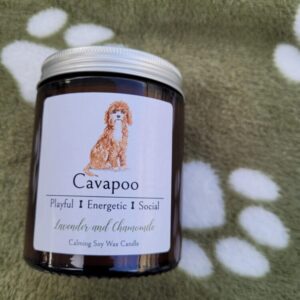 Cavapoo candle