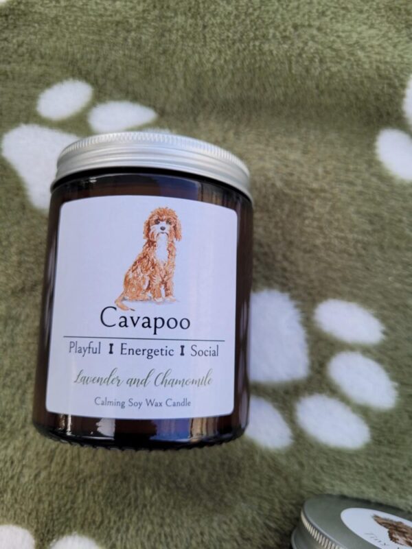 Cavapoo candle