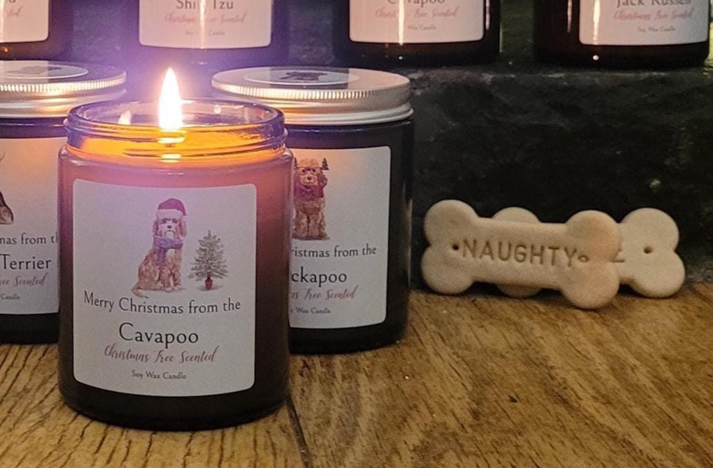 Merry Christmas from the Cavapoo candle
