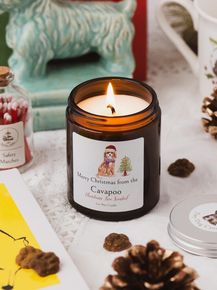 Merry Christmas from the Cavapoo candle