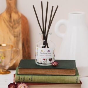 Traethau Cymru Reed Diffuser