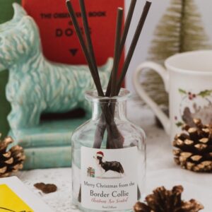 Merry Christmas from the Border Colliereed diffuser