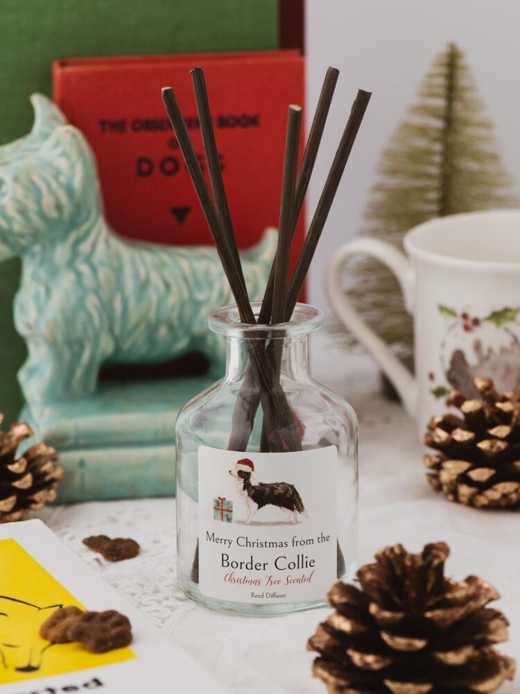 Merry Christmas from the Border Colliereed diffuser