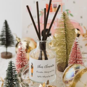 Sbeis Clementin reed diffuser
