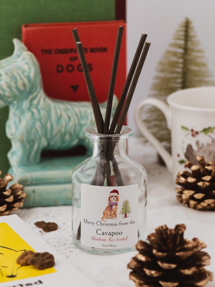 Merry Christmas from the Cavapoo reed diffuser